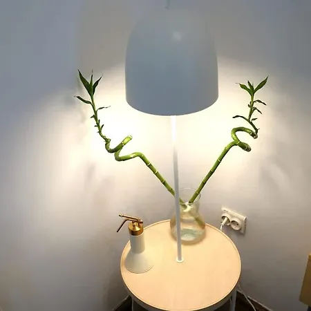 Spacious 4br, 3bt With 3 Balconies Appartamento *