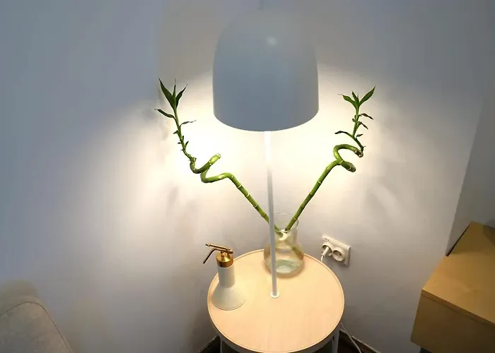 Spacious 4br, 3bt With 3 Balconies شقة *